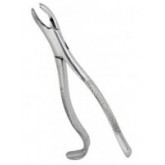 Extraction Forceps